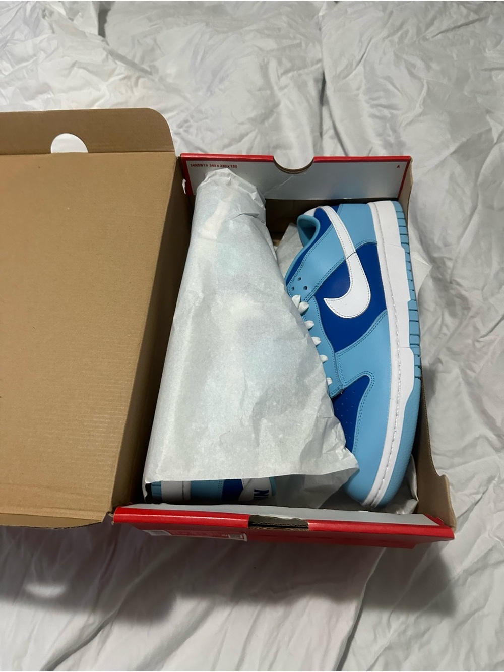 Nike Dunk Low in Light Blue and Royal Blue with White Swoosh